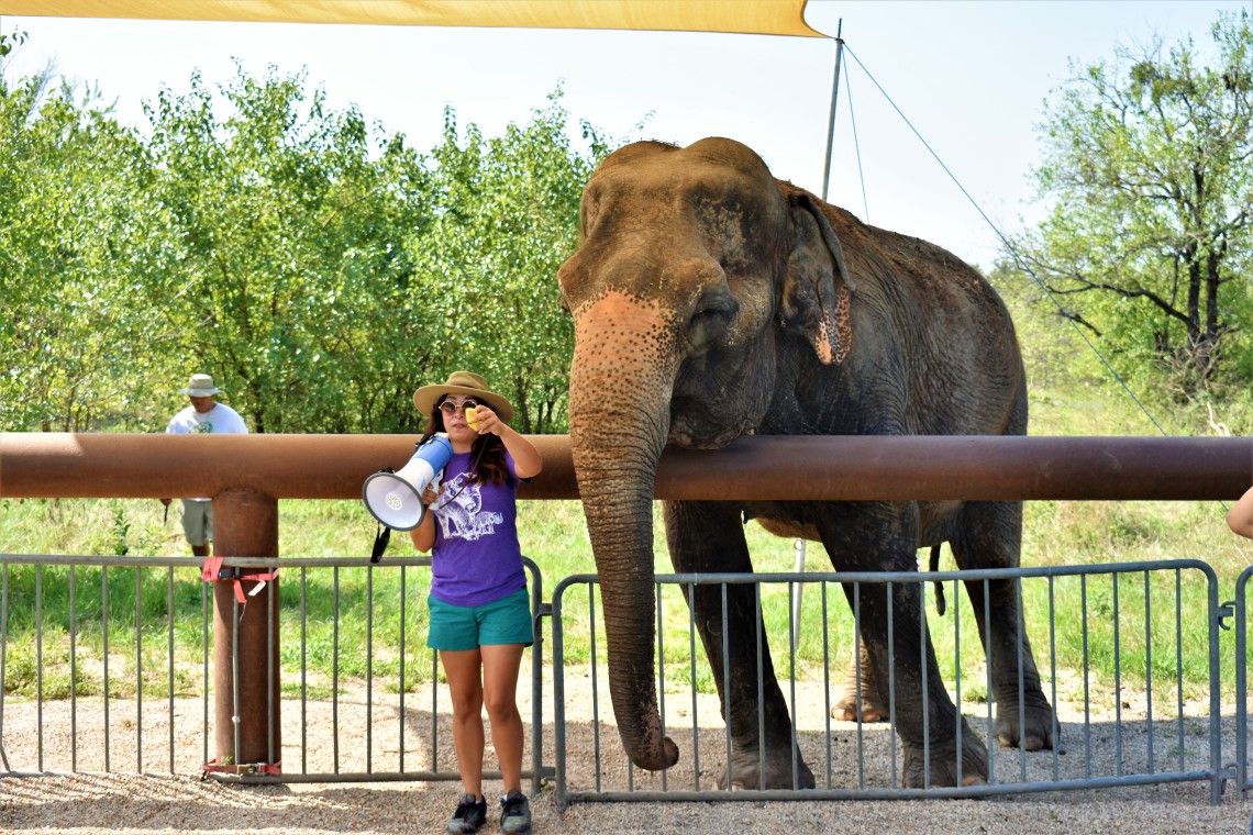 Endangered Ark Elephant Sanctuary, Hugo OK