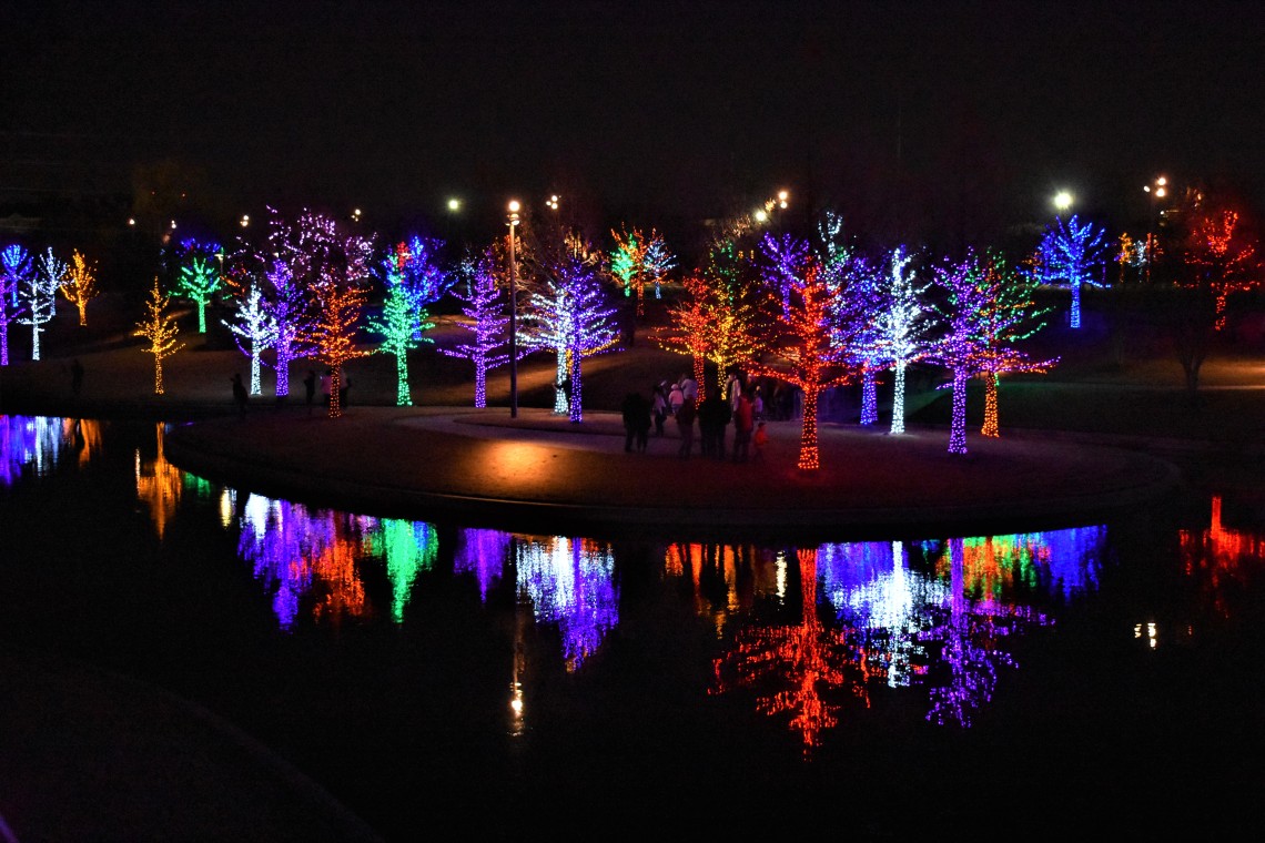 Vitruvian Lights Christmas Display in Addison